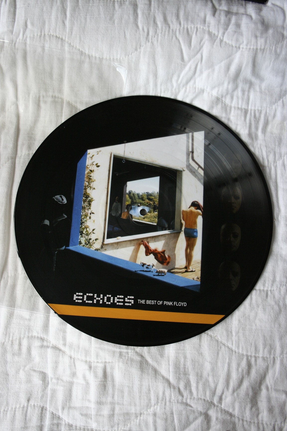 Echoes - Picture Disc 12 inch Vinyl.jpg